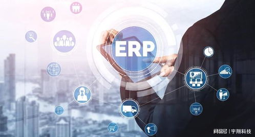 erp系統(tǒng)的實(shí)施對(duì)企業(yè)的重要性